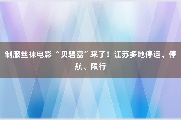 制服丝袜电影 “贝碧嘉”来了！江苏多地停运、停航、限行