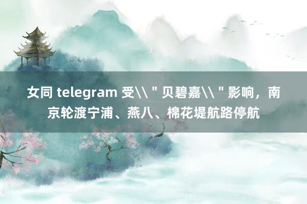 女同 telegram 受\＂贝碧嘉\＂影响，南京轮渡宁浦、燕八、棉花堤航路停航