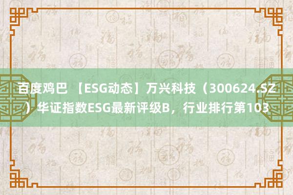 百度鸡巴 【ESG动态】万兴科技（300624.SZ）华证指数ESG最新评级B，行业排行第103