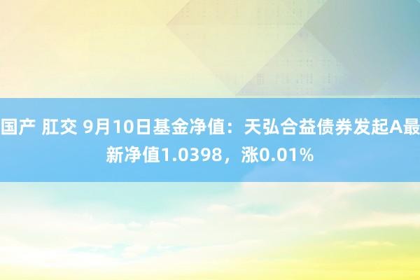 国产 肛交 9月10日基金净值：天弘合益债券发起A最新净值1.0398，涨0.01%