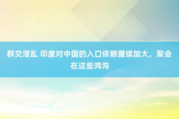 群交淫乱 印度对中国的入口依赖握续加大，聚会在这些鸿沟