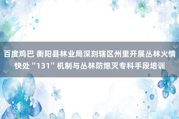 百度鸡巴 衡阳县林业局深刻辖区州里开展丛林火情快处“131”机制与丛林防熄灭专科手段培训