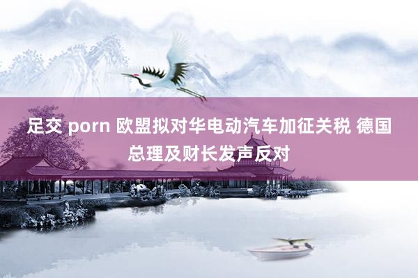 足交 porn 欧盟拟对华电动汽车加征关税 德国总理及财长发声反对