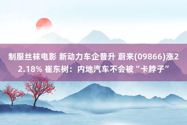 制服丝袜电影 新动力车企普升 蔚来(09866)涨22.18% 崔东树：内地汽车不会被“卡脖子”