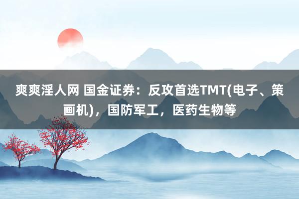 爽爽淫人网 国金证券：反攻首选TMT(电子、策画机)，国防军工，医药生物等