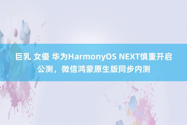 巨乳 女優 华为HarmonyOS NEXT慎重开启公测，微信鸿蒙原生版同步内测