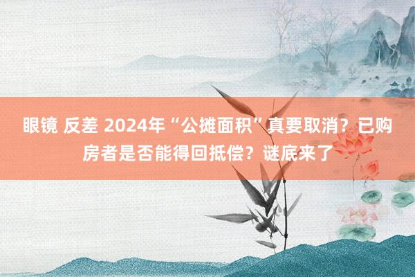 眼镜 反差 2024年“公摊面积”真要取消？已购房者是否能得回抵偿？谜底来了