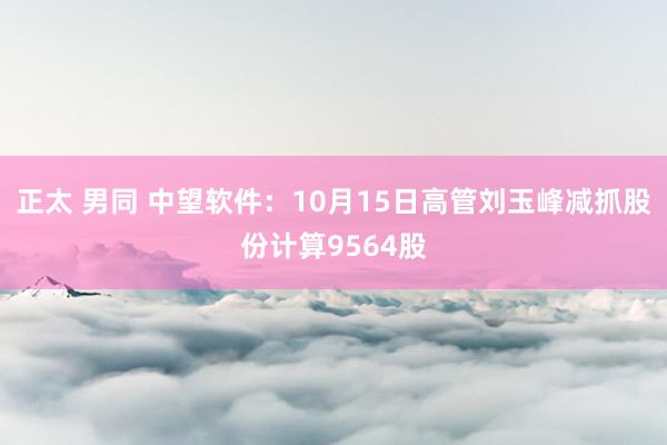 正太 男同 中望软件：10月15日高管刘玉峰减抓股份计算9564股