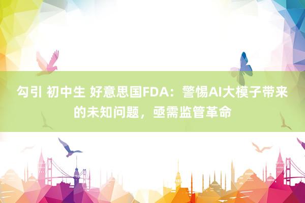 勾引 初中生 好意思国FDA：警惕AI大模子带来的未知问题，亟需监管革命