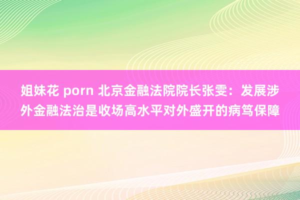 姐妹花 porn 北京金融法院院长张雯：发展涉外金融法治是收场高水平对外盛开的病笃保障