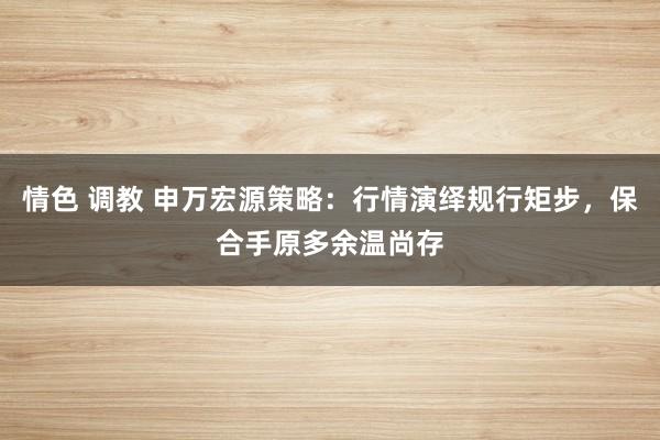 情色 调教 申万宏源策略：行情演绎规行矩步，保合手原多余温尚存