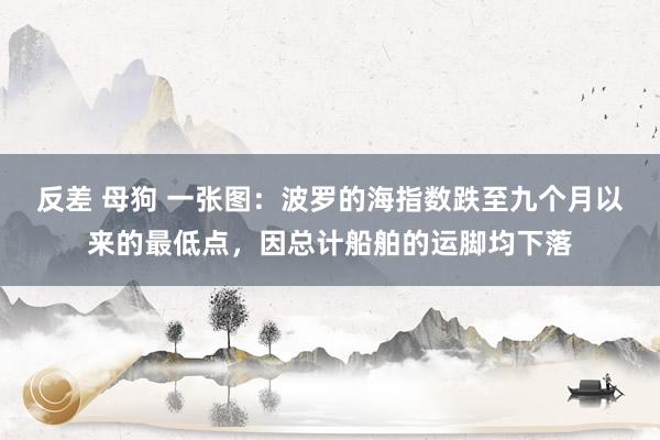 反差 母狗 一张图：波罗的海指数跌至九个月以来的最低点，因总计船舶的运脚均下落