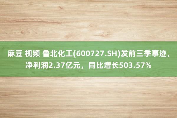 麻豆 视频 鲁北化工(600727.SH)发前三季事迹，净利润2.37亿元，同比增长503.57%