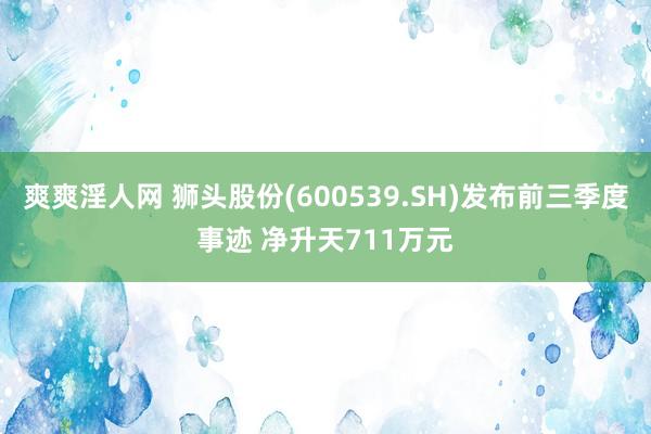 爽爽淫人网 狮头股份(600539.SH)发布前三季度事迹 净升天711万元