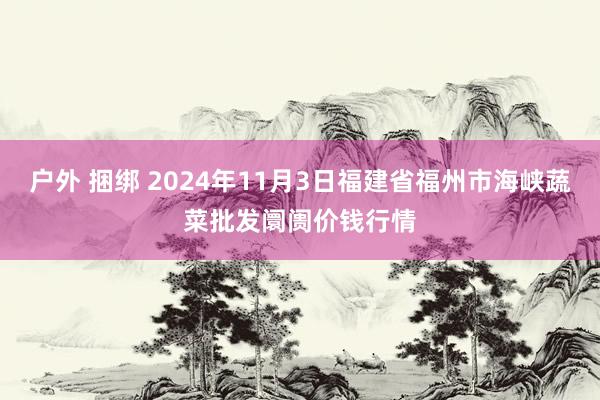 户外 捆绑 2024年11月3日福建省福州市海峡蔬菜批发阛阓价钱行情