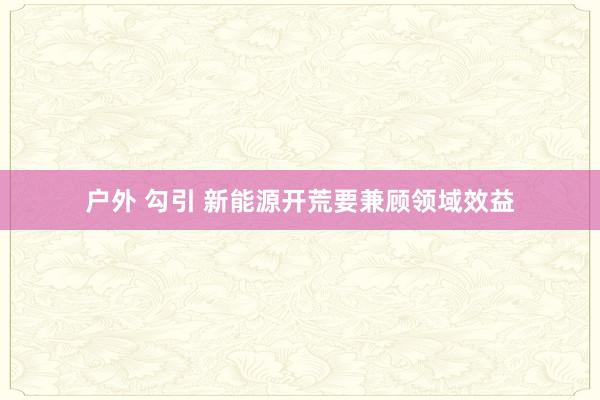 户外 勾引 新能源开荒要兼顾领域效益