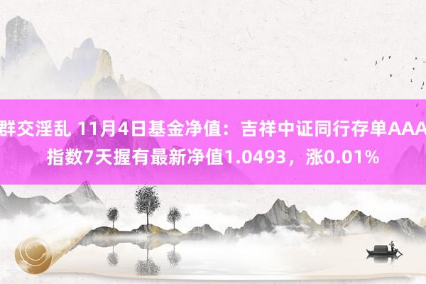 群交淫乱 11月4日基金净值：吉祥中证同行存单AAA指数7天握有最新净值1.0493，涨0.01%