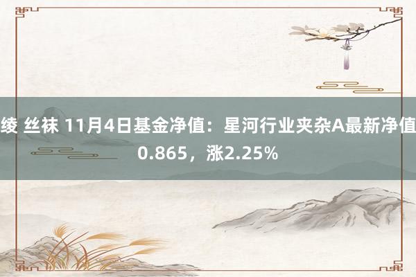 绫 丝袜 11月4日基金净值：星河行业夹杂A最新净值0.865，涨2.25%