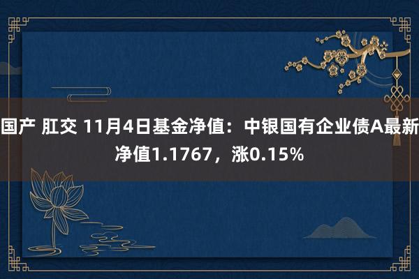 国产 肛交 11月4日基金净值：中银国有企业债A最新净值1.1767，涨0.15%