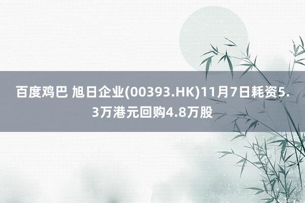 百度鸡巴 旭日企业(00393.HK)11月7日耗资5.3万