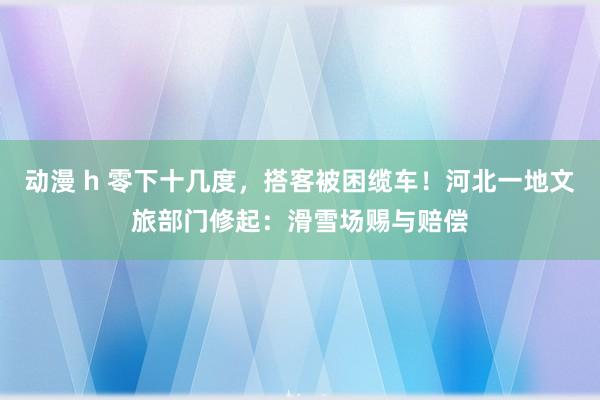 动漫 h 零下十几度，搭客被困缆车！河北一地文旅部门修起：滑雪场赐与赔偿