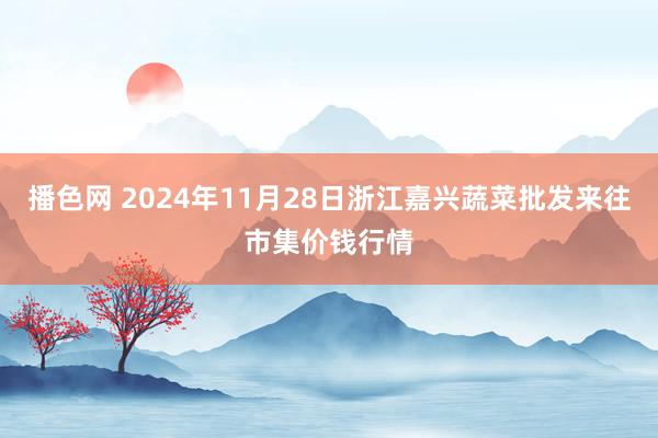 播色网 2024年11月28日浙江嘉兴蔬菜批发来往市集价钱行情