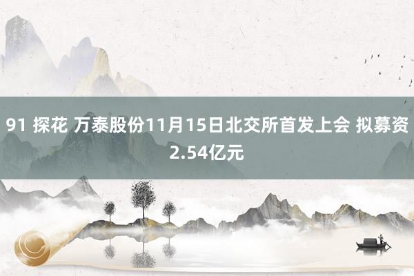 91 探花 万泰股份11月15日北交所首发上会 拟募资2.54亿元