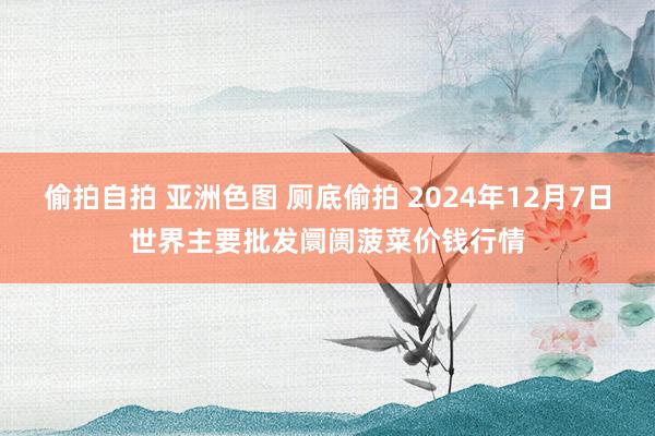 偷拍自拍 亚洲色图 厕底偷拍 2024年12月7日世界主要批发阛阓菠菜价钱行情