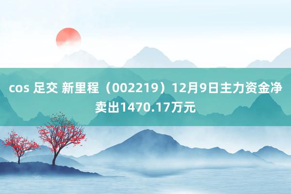 cos 足交 新里程（002219）12月9日主力资金净卖出1470.17万元