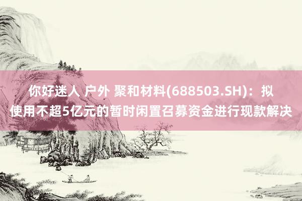 你好迷人 户外 聚和材料(688503.SH)：拟使用不超5亿元的暂时闲置召募资金进行现款解决