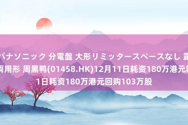 パナソニック 分電盤 大形リミッタースペースなし 露出・半埋込両用形 周黑鸭(01458.HK)12月11日耗资180万港元回购103万股