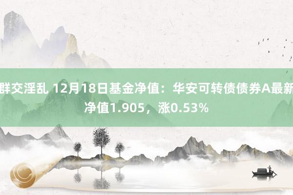 群交淫乱 12月18日基金净值：华安可转债债券A最新净值1.905，涨0.53%