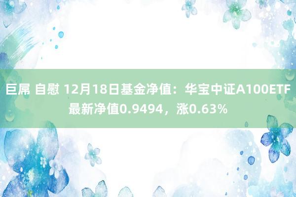 巨屌 自慰 12月18日基金净值：华宝中证A100ETF最新净值0.9494，涨0.63%