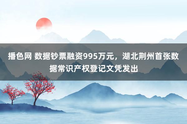 播色网 数据钞票融资995万元，湖北荆州首张数据常识产权登记文凭发出