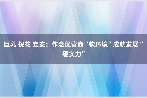 巨乳 探花 定安：作念优营商“软环境”成就发展“硬实力”