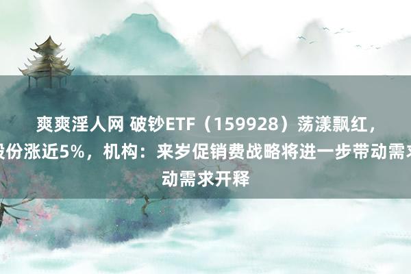 爽爽淫人网 破钞ETF（159928）荡漾飘红，百润股份涨近5%，机构：来岁促销费战略将进一步带动需求开释