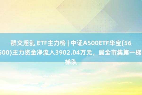 群交淫乱 ETF主力榜 | 中证A500ETF华宝(563500)主力资金净流入3902.04万元，居全市集第一梯队