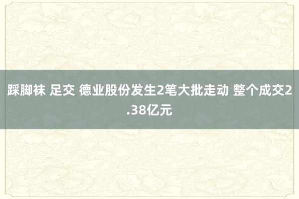 踩脚袜 足交 德业股份发生2笔大批走动 整个成交2.38亿元