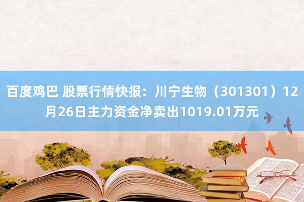 百度鸡巴 股票行情快报：川宁生物（301301）12月26日主力资金净卖出1019.01万元