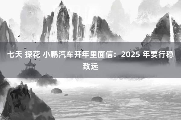 七天 探花 小鹏汽车开年里面信：2025 年要行稳致远