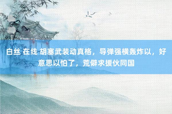 白丝 在线 胡塞武装动真格，导弹强横轰炸以，好意思以怕了，荒僻求援伙同国