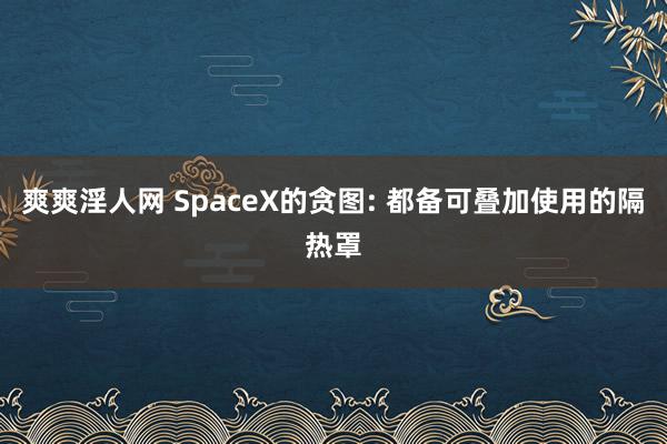 爽爽淫人网 SpaceX的贪图: 都备可叠加使用的隔热罩