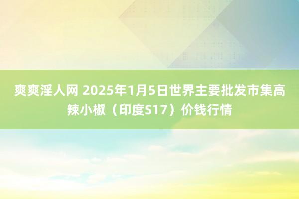 爽爽淫人网 2025年1月5日世界主要批发市集高辣小椒（印度S17）价钱行情