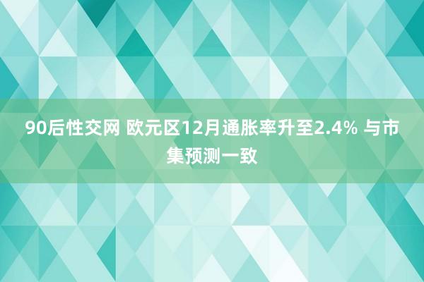 90后性交网 欧元区12月通胀率升至2.4% 与市集预测一致