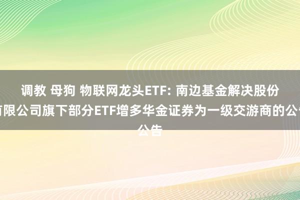 调教 母狗 物联网龙头ETF: 南边基金解决股份有限公司旗下部分ETF增多华金证券为一级交游商的公告