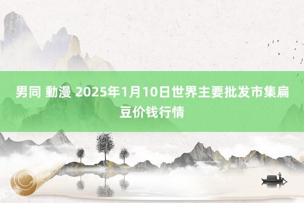 男同 動漫 2025年1月10日世界主要批发市集扁豆价钱行情