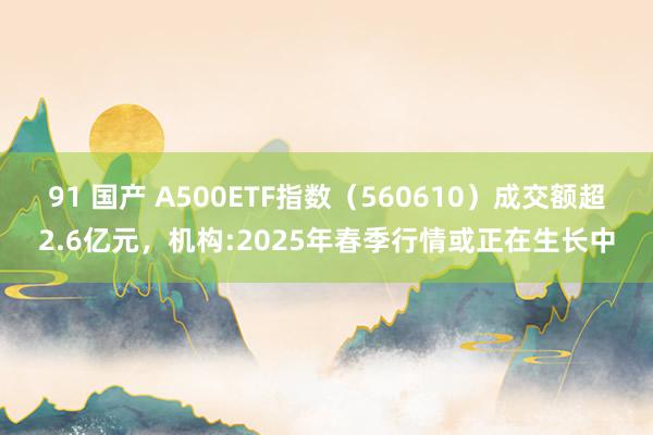 91 国产 A500ETF指数（560610）成交额超2.6亿元，机构:2025年春季行情或正在生长中