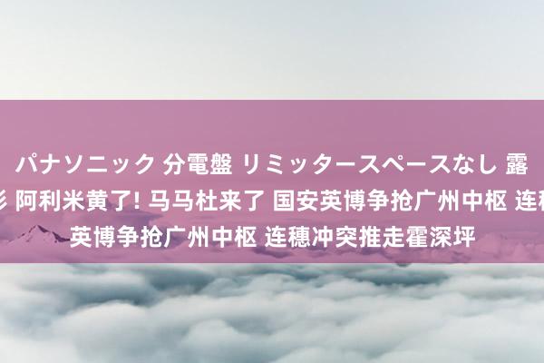 パナソニック 分電盤 リミッタースペースなし 露出・半埋込両用形 阿利米黄了! 马马杜来了 国安英博争抢广州中枢 连穗冲突推走霍深坪