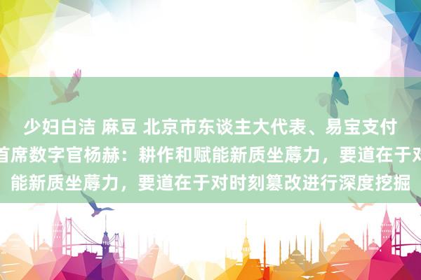 少妇白洁 麻豆 北京市东谈主大代表、易宝支付有限公司高档副总裁、首席数字官杨赫：耕作和赋能新质坐蓐力，要道在于对时刻篡改进行深度挖掘