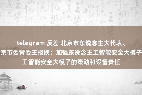 telegram 反差 北京市东说念主大代表、民进中央委员、北京市委常委王报换：加强东说念主工智能安全大模子的策动和设备责任